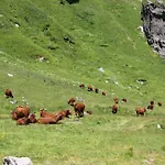 Apartman Les Cascades Le Mont-Dore