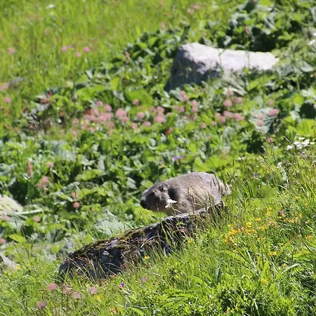 Les Cascades * Le Mont-Dore