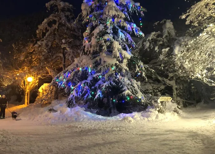 Apartment Les Cascades *