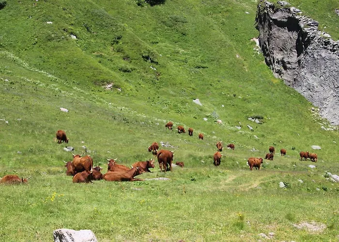 Apartment Les Cascades Le Mont-Dore
