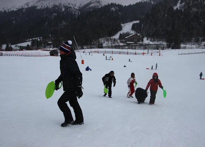 Les Cascades * Le Mont-Dore