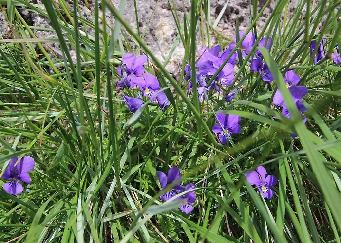 Les Cascades Le Mont-Dore